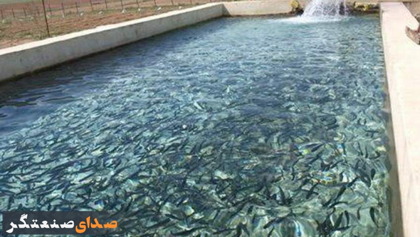 خودکفایی کامل ایران در تولید واکسن و تجهیزات آبزی‌پروری