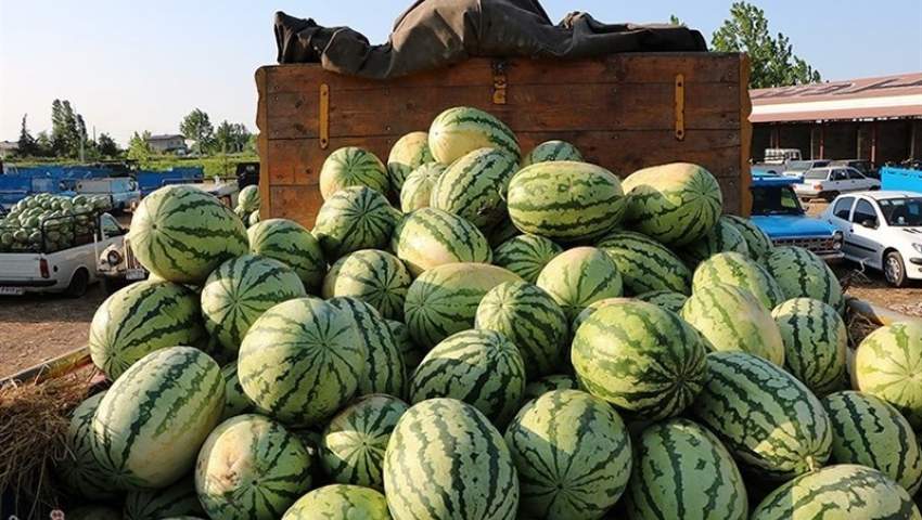 عراق واردات ۶ محصول کشاورزی از همه کشورها را ممنوع کرد