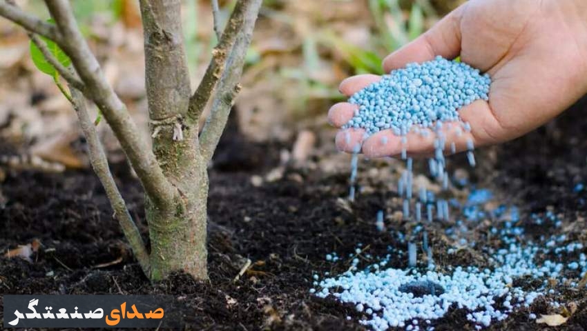 جولان دلالان در بازار آزاد کود