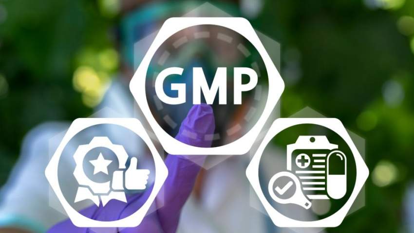 اهمیت رعایت GMP در صنعت داروسازی و تأثیر آن بر کیفیت تولید و صادرات دارو  