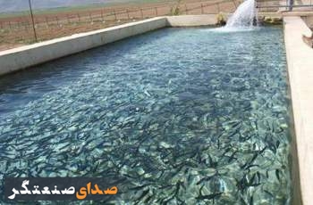 خودکفایی کامل ایران در تولید واکسن و تجهیزات آبزی‌پروری