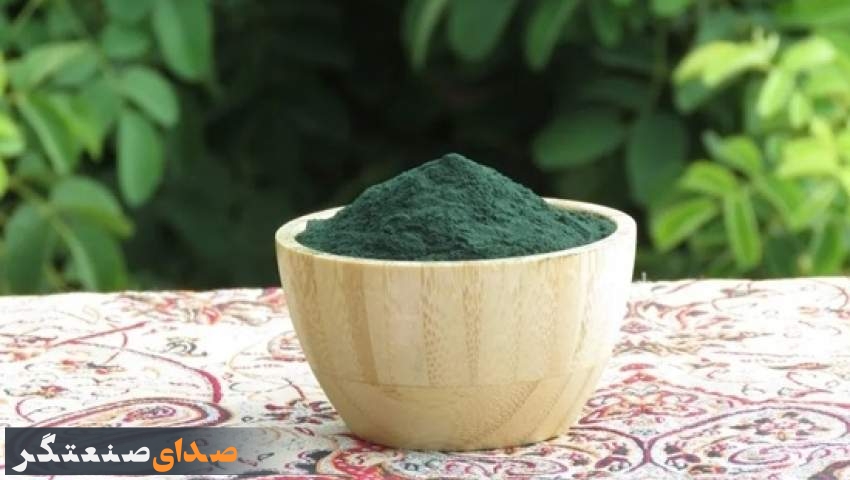 توصیههای ایمنی سازمان غذا و دارو درباره مصرف جلبک اسپیرولینا توصیههای ایمنی سازمان غذا و دارو درباره مصرف جلبک اسپیرولینا