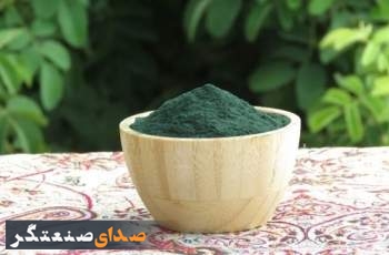 توصیه‌های ایمنی سازمان غذا و دارو درباره مصرف جلبک اسپیرولینا