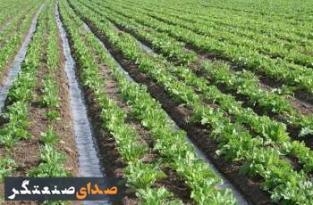 3 فعالیت گردشگری مشمول تغییر کاربری مجاز در اراضی کشاورزی شد