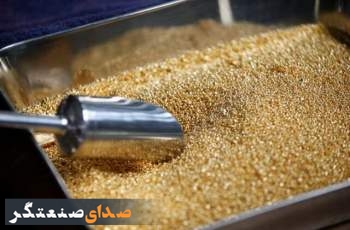 طلای جهانی چگونه قیمت‌گذاری می‌شود؟