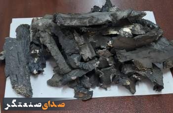 خیریه دختران وردآورد در محاصره ترس و ترکش/ اوج تنش و شوک برای دختران معصوم